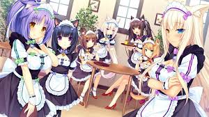 Check spelling or type a new query. The Whole Cast Nekopara Know Your Meme