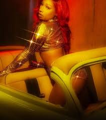 Изучайте релизы megan thee stallion на discogs. Megantheestallion Images On Favim Com