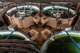 As in agriculture, you have greenhouses, he said. Will Your Next Salmon Come From A Massive Land Tank In Florida Politico