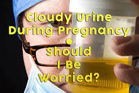Cloudy Urine During Pregnancy Should I Be Worried Babydotdot