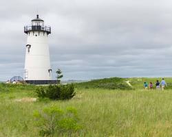 Image of Visiting a working farm in Edgartown