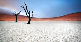 The airline urged all customers to cancel reservations. Namibia Rundreisen Reisen Selbstfahrer Rhino Africa