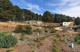 Feel free to select a particular category. Going Above And Beyond Renew