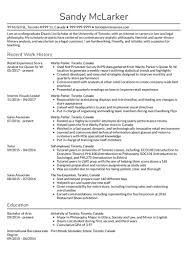 How to Write a Professional Summary on a Resume? [+Examples ...