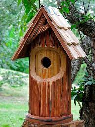 Birdhouse Unique Bird Houses Bird House Bird House Kits