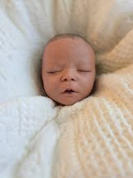 Reborn Cuddle Darren HEAD ONLY