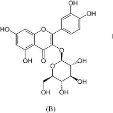 Prime video direct video distribution made easy. Pdf Potential Anti Influenza Effective Plants Used In Turkish Folk Medicine A Review