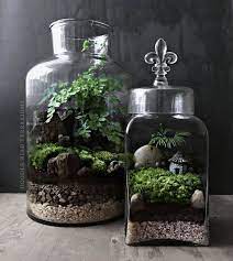 80 awesome bonsai terrarium in the jars ideas https decomg com 80 awesome bonsai terrarium jars ideas deco plantes terrarium de plantes grasses mini jardins
