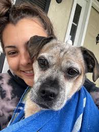 Lost horse in Wild Horse Valley area