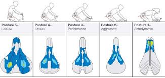 Saddle Comfort For Cyclists The Best Bicycle Touring Seats