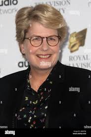 Sandi hi-res stock photography and images