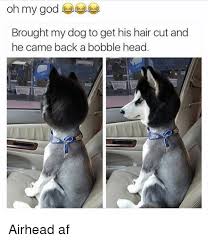 25 Best Memes About Airheads Airheads Memes
