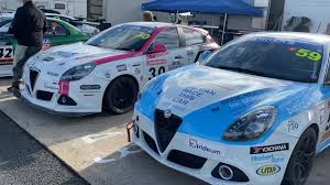 Image result for Bianco 1974 Alfa-Romeo