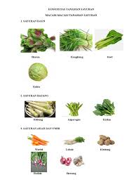 We did not find results for: Komoditas Tanaman Sayuran