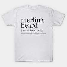 Merlin S Beard Definition This Fun And Quirky T Shirt Will Get All Your Friends Talking Perfect If You Love Words De Quirky T Shirts T Shirt Graphic Shirts