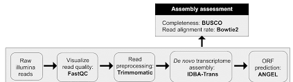 Https Www Mdpi Com 2673 6284 9 4 19 Pdf