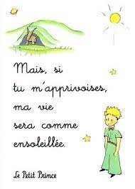 Le livre du petit prince, vous connaissez ? Le Petit Prince Quotes Sunset Phrases Dogtrainingobedienceschool Com