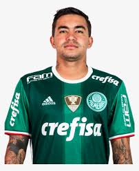 Palmeiras png collections download alot of images for palmeiras download free with high quality for designers. Dudu Png Palmeiras 2018 768x1024 Png Download Pngkit