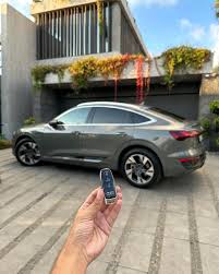 Image result for Daytona Gray 2024 E-Tron