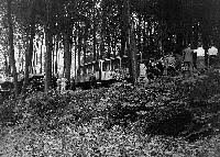 Juli 1883 war die nach den plänen des ingenieurs riggenbach gebaute drachenfelsbahn als technisches überschattet wird die geschichte der bahn von einem schweren unfall, bei dem am 14. Virtuelles Bruckenhofmuseum Konigswinter Oberdollendorf