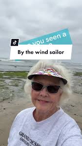 Velella Velella: The By-the-Wind Sailor Jellyfish