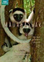 Zeliha Develi Adli Kullanicinin Belgesel Panosundaki Pin 2020 Bbc Film Madagascar