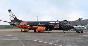 Mink's belavia airlines with a world of tanks pattern on airplane: Belavia S Spectacular World Of Tanks Livery Allplane