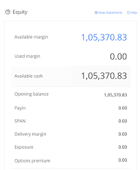 What Does Margin Available And Margin Used Mean