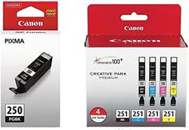 Canon Pgi-570Pgbk Pigment Black Ink Cartridge — Canon Uk Store