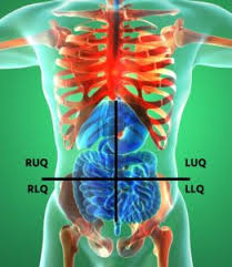 In anatomy and physiology, you'll learn how to divide the abdomen into nine different regions and four different quadrants. Back To The Basics That Gut Feeling