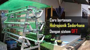 How To Build Hydroponic System At Home Hydroponics Hydroponic Gardening Hydroponics System