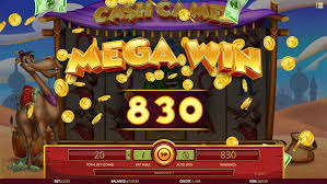 Pin On Win