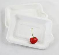 UPOUART 50pcs Rectangular Sugarcane Pulp Paper Party Trays Outdoor Dining  Disposable Plates