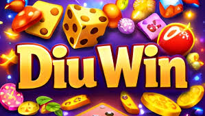 Diu Win: Top Features Explained for New Users - BitterMagazine