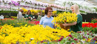 Maybe you would like to learn more about one of these? About Tlc Tlc Garden Centers