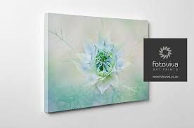 Buy wall art from modern abstract. Acrylic Print Vs Canvas Print What S The Difference Fotoviva Art Prints