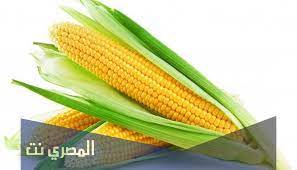 Maybe you would like to learn more about one of these? ØªÙØ³ÙŠØ± Ø­Ù„Ù… Ø±Ø¤ÙŠØ© Ø§Ù„Ø°Ø±Ø© ÙÙŠ Ø§Ù„Ù…Ù†Ø§Ù… Ù„Ø§Ø¨Ù† Ø³ÙŠØ±ÙŠÙ† ÙˆØ§Ù„Ù†Ø§Ø¨Ù„Ø³ÙŠ Ø§Ù„Ù…ØµØ±ÙŠ Ù†Øª