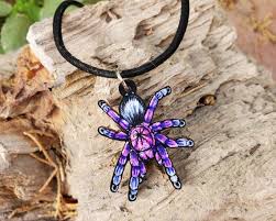 Trouvez des images de stock de purple bloom tarantula pamphobeteus sp machalla en hd et des millions d'autres photos, illustrations et images vectorielles de stock libres de droits dans la collection. Brazilian Pinkbloom Tarantula Pamphobeteus Platyomma Etsy