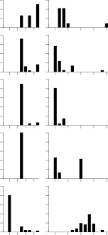 Allele Frequency Distribution Of Two Microsatellite Loci In