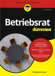 In anderen betrieben liegt die quote bei 10 prozent. Betriebsrat Fur Dummies Graf Margarete Amazon De Bucher