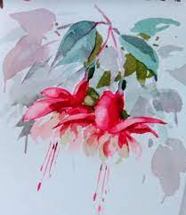 Fuschia Watercolour Watercolor Flowers Paintings Floral Watercolor Flower Painting