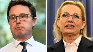 Penelope Burrows, Christina Meyer in Coffs Harbour Local Court after breech  home birth baby death at Karangi