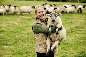 Running One Of Ireland S Largest Sheep Farms Spanning 1 700 Acres Thatsfarming Com