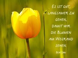Blumenbild Mit Spruch Blumen Zitate Blumen Spruch Schone Spruche