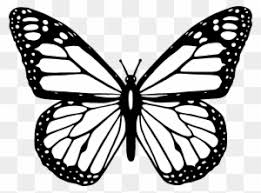Monarch butterfly drawing color clip art butterfly 4364 3819. Big Image Monarch Butterfly Coloring Page Free Transparent Png Clipart Images Download