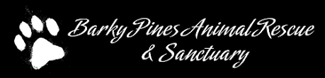 7100 belvedere road west palm beach, 33411. Barky Pines Animal Rescue Sanctuary South Florida Animal Rescue