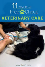 Read what our clients have had to say about the veterinary care we provide. 11 Ways To Get Free Or Cheap Vet Care Near Me Moneypantry
