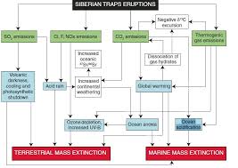 Ocean Acidification And The End Permian Mass Extinction