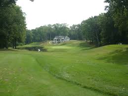 Image result for Lawsonia