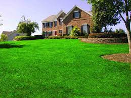 Annual Lawn Care Service Programs Lawn Doctor